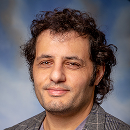 Amjad A Shihadeh, MD